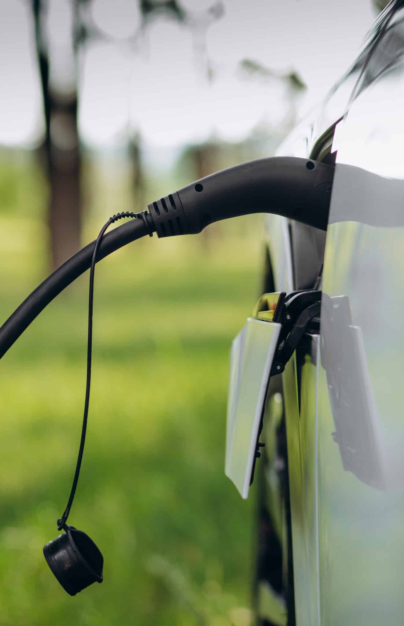 Câble de recharge branché sur la prise d'une voiture blanche, fond de verdure flou